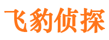 南沙市侦探公司